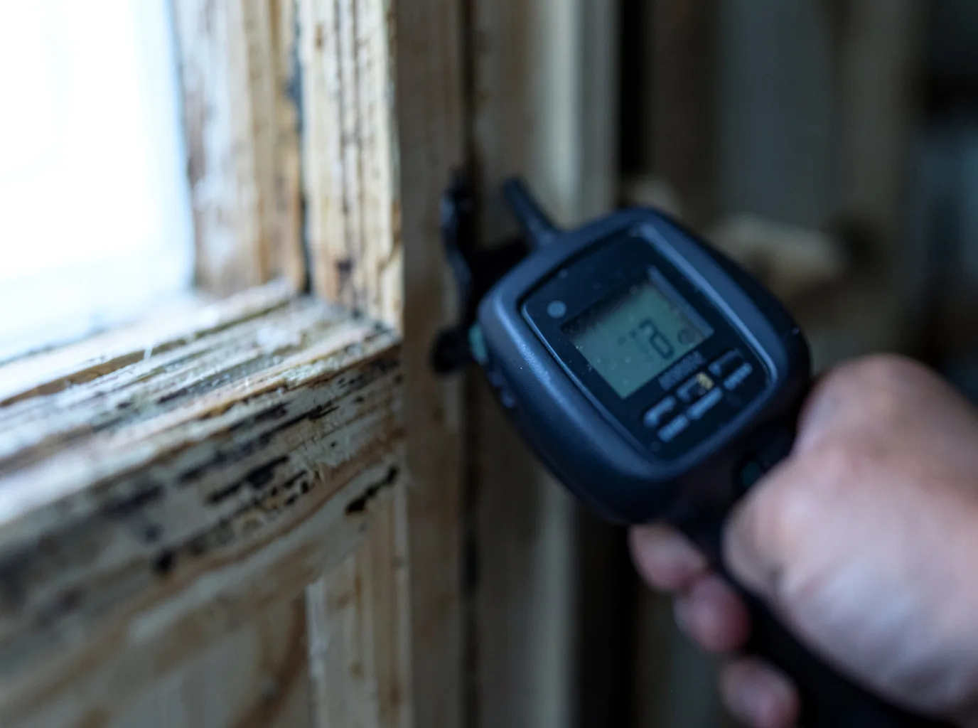 Moisture Inspection And Documentation in Miles, IA
